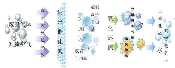 1558430310275059.jpg image008.jpg